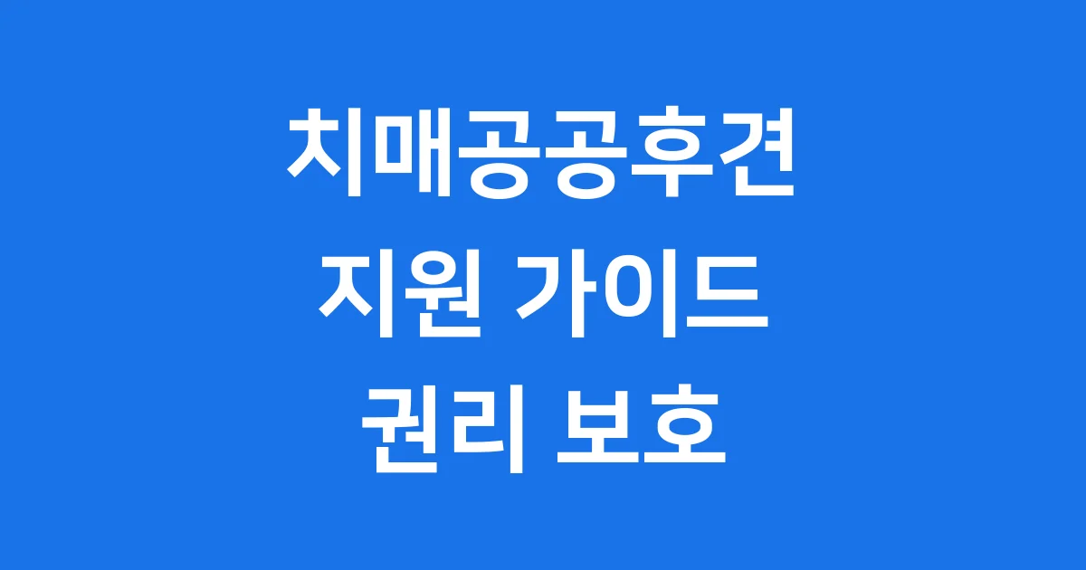치매 환자 공공후견 지원