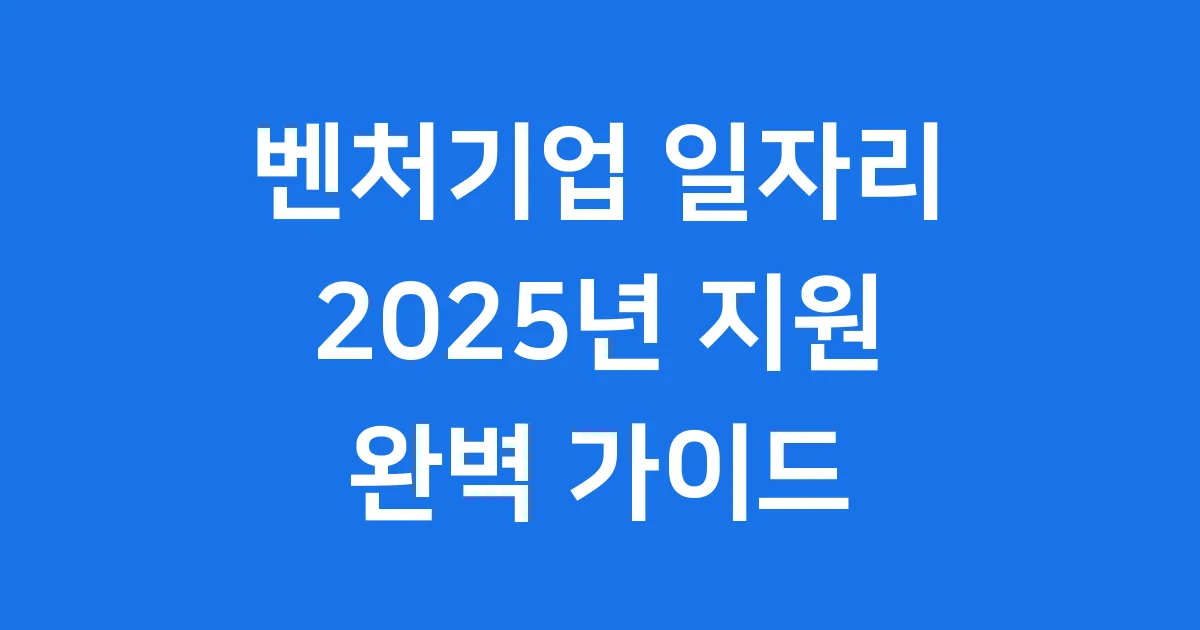 벤처기업 일자리 지원 2025년 청년 고용난 해결책